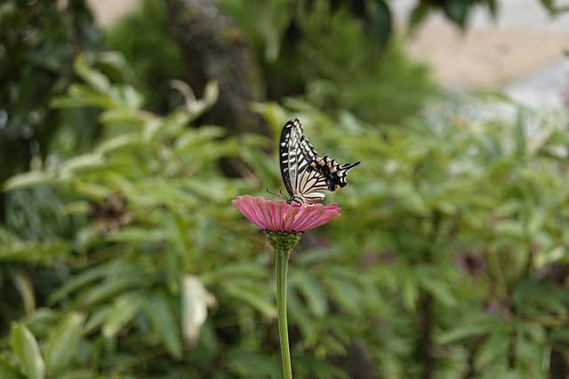 上节奏